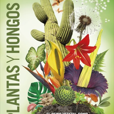 Plantas y hongos (Mundo 3D)