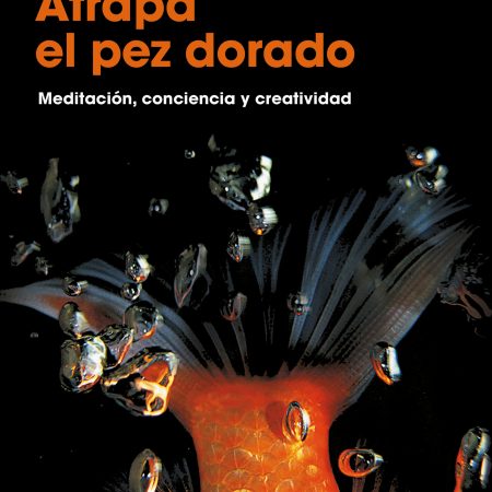 Portada del libro Atrapa el pez dorado de David Lynch – RESERVOIR BOOKS