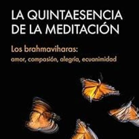 LA QUINTAESENCIA DE LA MEDITACION