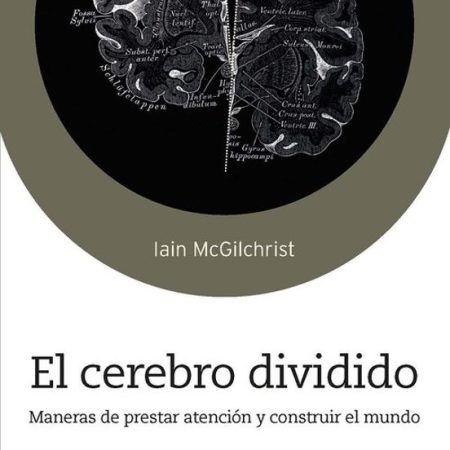 EL CEREBRO DIVIDIDO