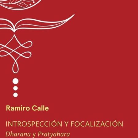 INTROSPECCIÓN Y FOCALIZACIÓN