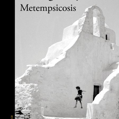 Metempsicosis