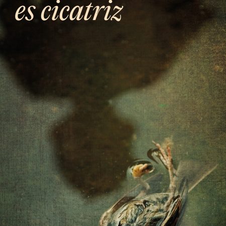 Portada del libro Todo pueblo es cicatriz (Mapa de las lenguas) de Hiram Ruvalcaba – RANDOM HOUSE