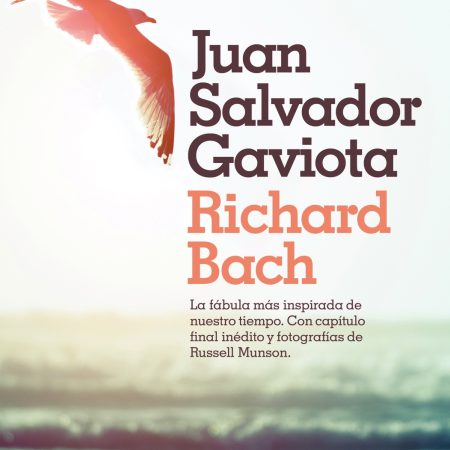 Juan Salvador Gaviota