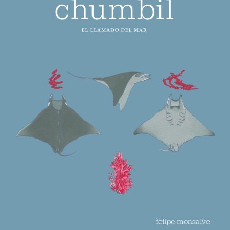 Portada del libro Chumbil de Felipe Monsalve – GRIJALBO