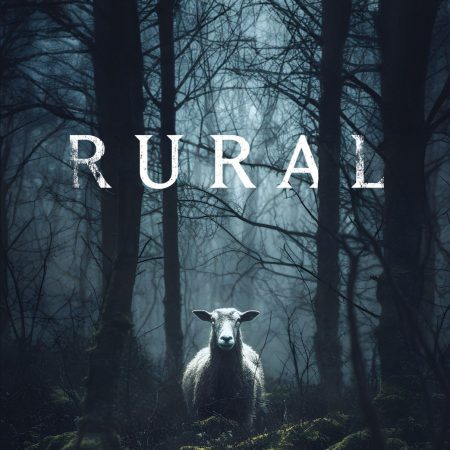 Portada del libro  de Jesús Diamantino –