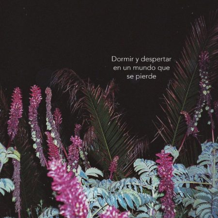 Portada del libro  de Constanza Michelson –